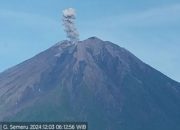 Hari ini, Semeru kembali erupsi terus menerus
