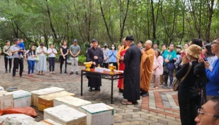 YBAI lepas ribuan satwa di Mangrove Gunung Anyar