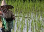 Asosiasi Petani siap wujudkan swasembada pangan