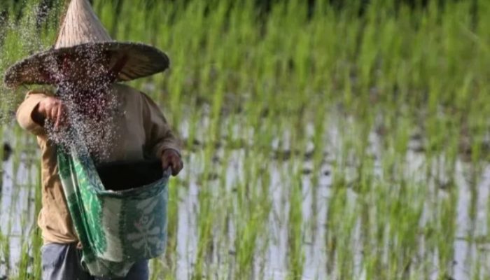 Asosiasi Petani siap wujudkan swasembada pangan