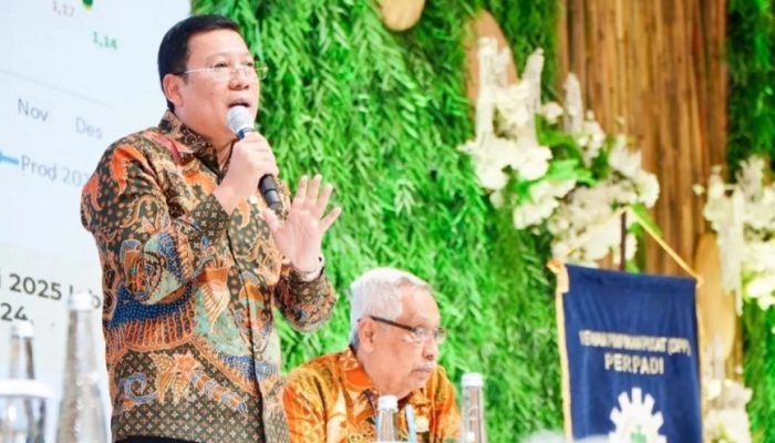 Bapanas ajak Perpadi serap gabah dan padi demi stabilisasi harga