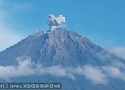 Gunung Semeru erupsi disertai letusan setinggi 700 meter di atas puncak