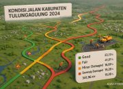 Kondisi Jalan Kabupaten Tulungagung Tahun 2024: Tantangan Nyata, Komitmen Perbaikan Menyongsong 2025