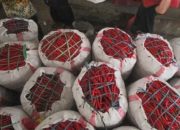 Pemkab Kediri gandeng Surabaya pasarkan produk pertanian