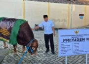 Pemkab Tulungagung Salurkan 13 Ekor Sapi dan 4 Kambing Kurban untuk Warga