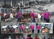 Kejati Jatim Laksanakan Penyembelihan Dan Distribusi Hewan Qurban 1446 H