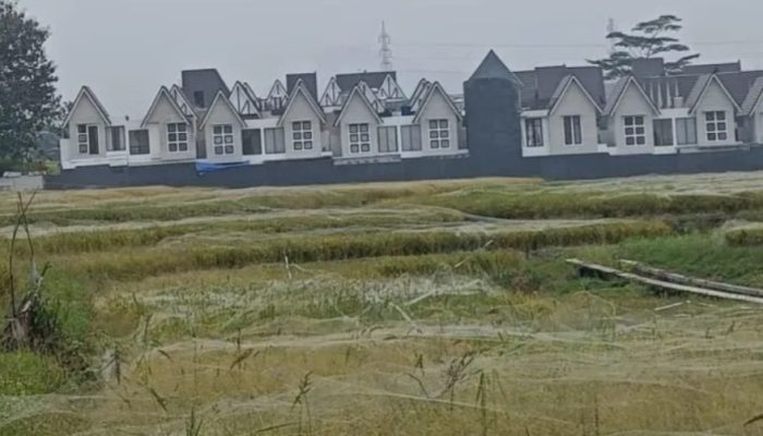 Pemkot Malang : Penyaluran pupuk subsidi sesuai RDKK