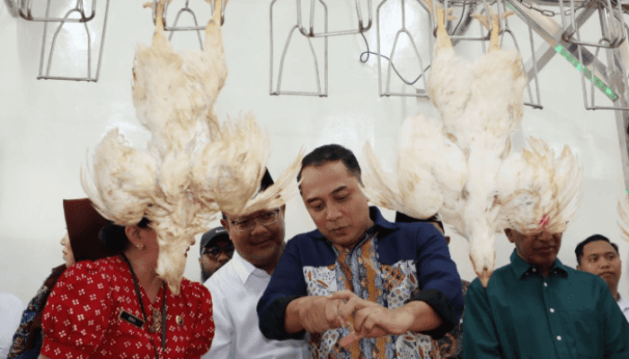 Wali Kota Eri Resmikan RPH Unggas Modern Pertama di Lakarsantri
