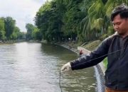 Munculnya Ikan Mabuk di Kali Banyu Urip dan Kalimas, DLH Surabaya Ungkap Kadar Oksigen Kritis 1,5 Jauh di Bawah Standar Ideal