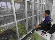 Diduga Hujan Surabaya Mengandung Mikroplastik, Pemkot Surabaya Uji Laboratorium hingga Larang Bakar Sampah Kantong Plastik