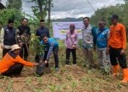 PLN Jatim Tanam Ribuan Pohon, Dari Ponorogo hingga Banyuwangi, Dukung Transformasi Hijau Menyambut Hari Pahlawan