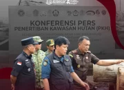 Perkembangan Kasus Mafia Kayu Mentawai: Satgas PKH Paparkan Temuan Baru, Kejati Jatim Siap Perkuat Penindakan Hukum
