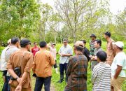 Kementerian PKP Bangun 600 Unit Hunian Tetap Pascabencana di Sumbar