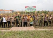 Sinergi Pemkot-Polres Probolinggo Tingkatkan Swasembada Jagung Lewat Asta Cita