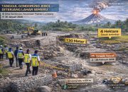 Sawah Tertimbun Lahar, Petani Gondoruso Gagal Panen Akibat Tanggul Jebol