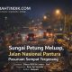 Sungai Petung Meluap, Jalan Nasional Pantura Pasuruan Sempat Tergenang