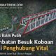 Jembatan Besuk Koboan Lumajang Dibangun Pascabencana Semeru, Kini Jadi Infrastruktur Vital Penghubung Wilayah