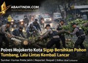 Polres Mojokerto Kota Sigap Bersihkan Pohon Tumbang, Lalu Lintas Kembali Lancar