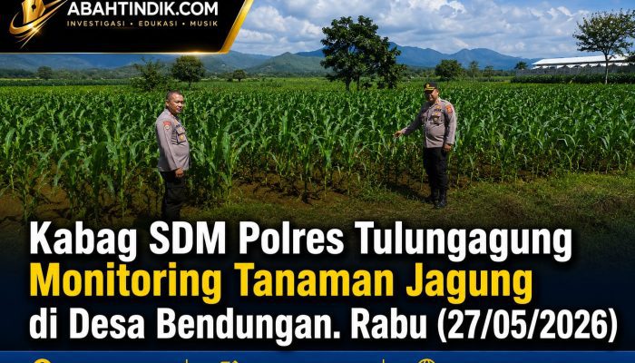 Kabag SDM Polres Tulungagung Monitoring Tanaman Jagung di Desa Bendungan