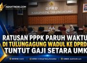 Ratusan PPPK Paruh Waktu di Tulungagung Wadul ke DPRD, Tuntut Gaji Setara UMK
