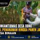 Bhabinkamtibmas Desa Dono Kawal Penanaman Hingga Panen Jagung di Desa Binaan