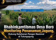 Bhabinkamtibmas Desa Boro Monitoring Penanaman Jagung, Dukung Ketahanan Pangan Nasional di Tulungagung