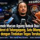 Resmob Macan Agung Bekuk Dua Pelaku Jambret di Tulungagung, Satu Dilumpuhkan dengan Tindakan Tegas Terukur