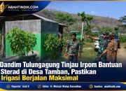 Dandim Tulungagung Tinjau Irpom Bantuan Sterad di Desa Tamban, Pastikan Irigasi Berjalan Maksimal