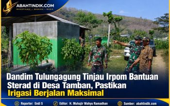Dandim Tulungagung Tinjau Irpom Bantuan Sterad di Desa Tamban, Pastikan Irigasi Berjalan Maksimal
