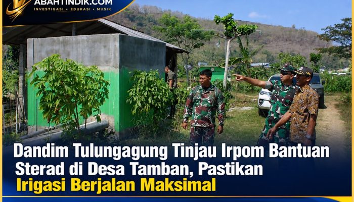 Dandim Tulungagung Tinjau Irpom Bantuan Sterad di Desa Tamban, Pastikan Irigasi Berjalan Maksimal
