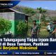 Dandim Tulungagung Tinjau Irpom Bantuan Sterad di Desa Tamban, Pastikan Irigasi Berjalan Maksimal
