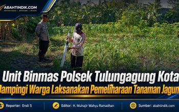 Unit Binmas Polsek Tulungagung Kota Dampingi Warga Laksanakan Pemeliharaan Tanaman Jagung