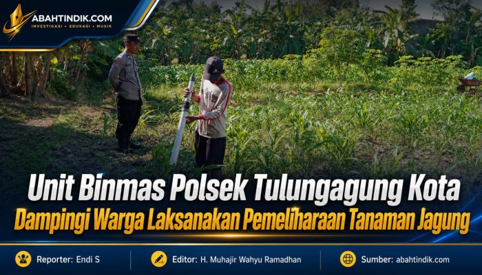 Unit Binmas Polsek Tulungagung Kota Dampingi Warga Laksanakan Pemeliharaan Tanaman Jagung