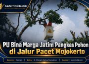 PU Bina Marga Jatim Pangkas Pohon di Jalur Pacet Mojokerto