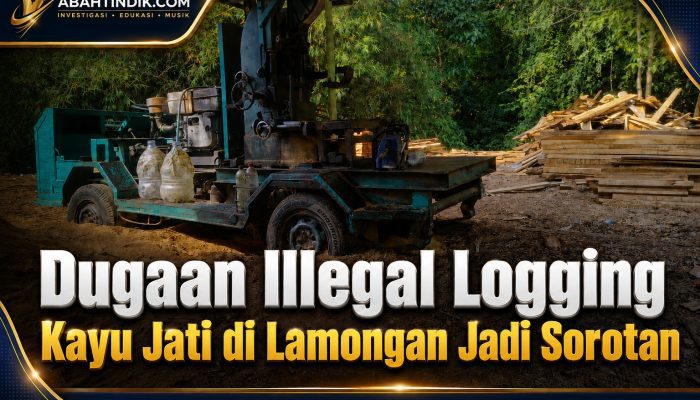 Dugaan Illegal Logging Kayu Jati di Lamongan Jadi Sorotan