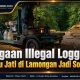 Dugaan Illegal Logging Kayu Jati di Lamongan Jadi Sorotan